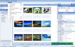 ��������� PicaJet Photo Organizer 2.6.0.635