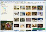 ��������� FastStone Image Viewer 4.8