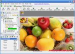��������� CodedColor 6.0.0